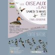 Découverte des oiseaux de l’étang de Beaurepaire