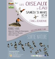 Découverte des oiseaux de l’étang de Beaurepaire