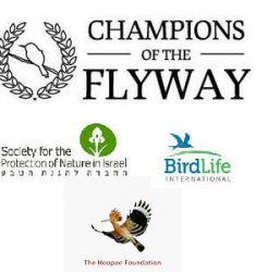 Édition 2018 de la course ornithologique « Champions of the Flyway »