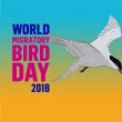 Journée Mondiale des Oiseaux Migrateurs ou « World Migratory Bird Day »