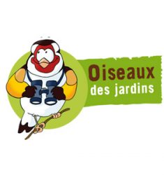 Comptage national printanier des oiseaux des jardins