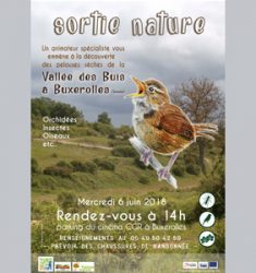 Visite guidée de la Vallée des buis à Buxerolles