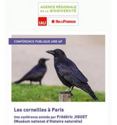 Conférence sur les Corneilles noires à Paris