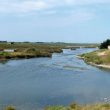 Sortie ornithologique guidée dans le polder de Sébastopol