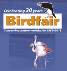 British Birdwatching Birdfair 2018