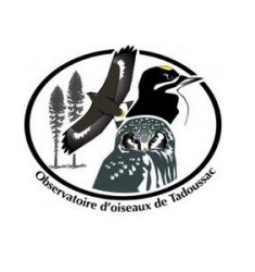 10ème Festival des oiseaux migrateurs de la Côte-Nord