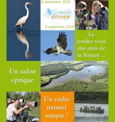 10ème Festival de l’Oiseau de Virelles