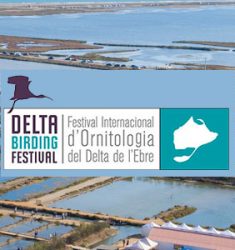 5ème festival international ornithologique du delta de l’Èbre