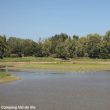 Le lac de Maché-Apremont (Vendée), une halte migratoire dans le bocage