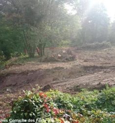 Rassemblement pour sauver la forêt de la Corniche des Forts