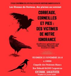 Conférence « Corbeaux, Corneilles et Pies : des victimes de notre ignorance »