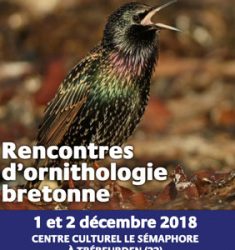 Rencontres d’ornithologie bretonne