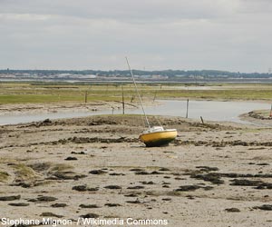 Île d'Oléron (Charente-Maritime) 