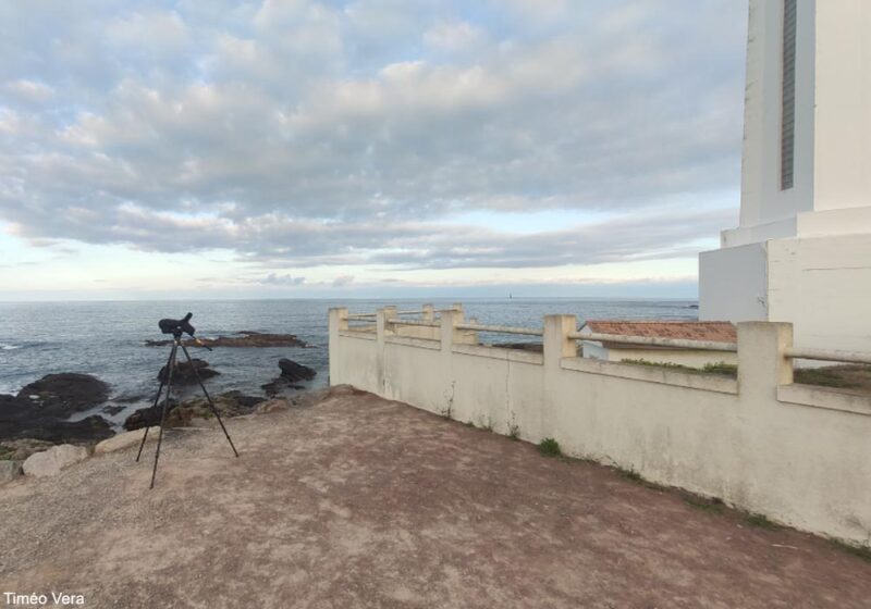 Où observer les oiseaux aux Sables-d’Olonne (Vendée) et dans les environs proches ?