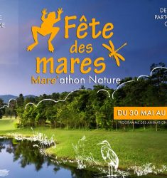 Cinquième Fête des Mares (Mare’athon Nature)