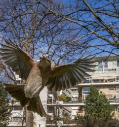 Exposition et concours « Nature insolite » dans le parc forestier de la Poudrerie