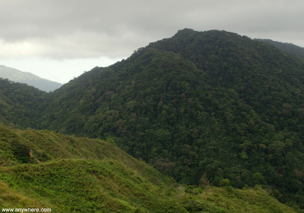 Vue du parc national de Cerro Hoya (Panama)