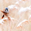 Deuxième concours photographique Parenthèse Nature