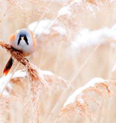 Deuxième concours photographique Parenthèse Nature