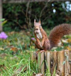 Sortie guidée pour découvrir comment aménager son espace en faveur de la faune sauvage