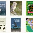 Une sélection de bons livres variés sur les oiseaux parus en 2021