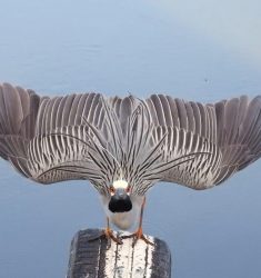 16ème Fête de la Nature