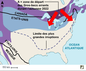 Aire de répartition du Gros-bec errant