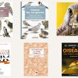 Une sélection de beaux livres francophones sur les oiseaux parus en 2022