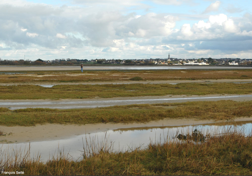 Vue des prés-salés de l'anse de Kernic (Finistère)