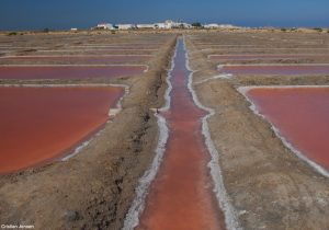 Vue des salines de la Trinitat (Catalogne)