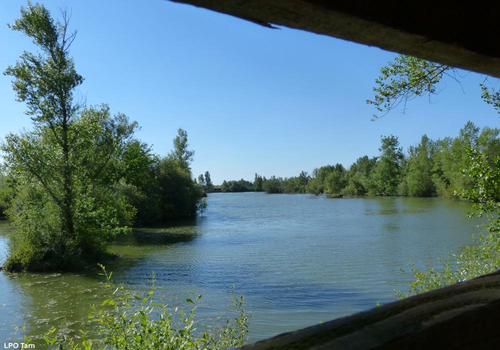 Vue d'un des plans d'eau de la Réserve Naturelle Régionale de Cambounet-sur-le-Sor (Tarn)