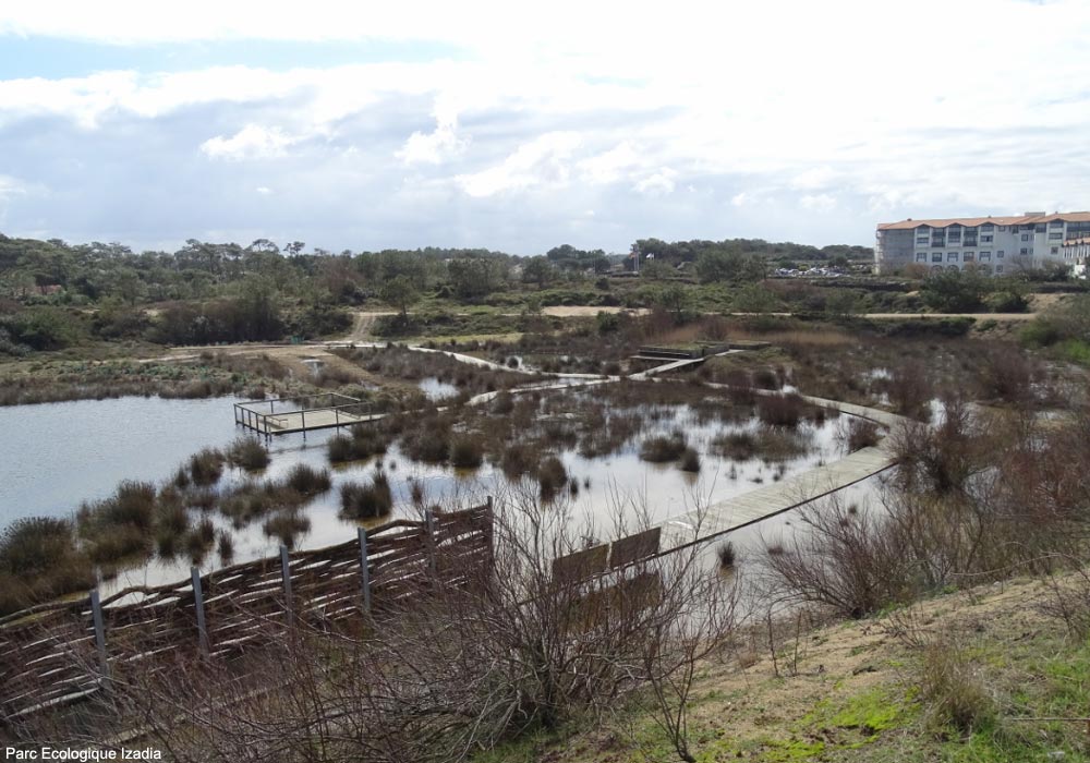 Vue du lac sud et du marais saumâtre (inondé) dans le parc écologique Izadia à Anglet (Pyrénées-Atlantiques)