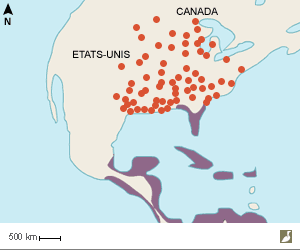 Nord de l'aire de nidification du Courlan brun (Aramus guarauna) 