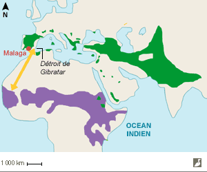 Aires de répartition des Vautours fauve et de Rüppell