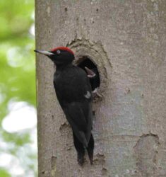 18ème édition de la Fête de la Nature