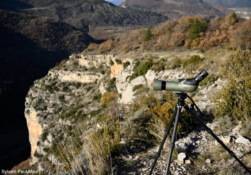 Le test sur le terrain de la longue-vue Kowa TSN-66A Prominar et de deux oculaires