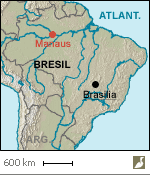 Situation de la ville de Manaus (Brésil)