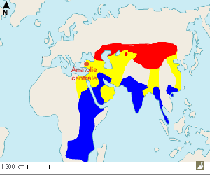 Aire de répartition de l'Aigle des steppes (Aquila nipalensis)