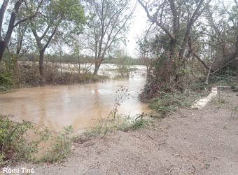 Crue du Vieux Vistre dans la réserve naturelle régionale de Mahistre et Musette (Gard)