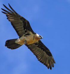 19ème Festival Nature des Réserves Naturelles Catalanes