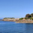 La pointe de Bloscon à Roscoff (Finistère), une alternative au sémaphore de Brignogan pour l’observation des oiseaux marins