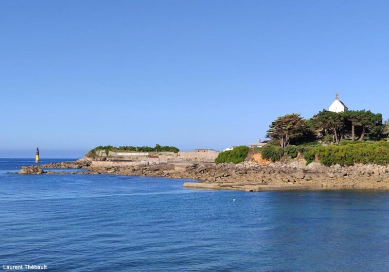 La pointe de Bloscon à Roscoff (Finistère), une alternative au sémaphore de Brignogan pour l’observation des oiseaux marins