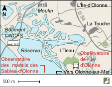 Carte autour de l'observatoire de la réserve de l'Île-d'Olonne