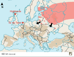 Aire de nidification (en rouge) de la Rousserolle des buissons (Acrocephalus dumetorum) en Europe