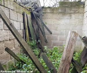 L'un des glands avait été caché dans ce bâtiment en ruine