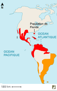 Aires de répartition des sous-espèces C. p. cheriway et C. p. plancus  du Caracara huppé (Caracara plancus)