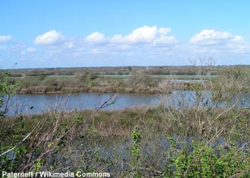 Vue du domaine de Certes et Graveyron (Gironde) 