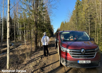 Une piste forestière typique dans la forêt de Kildemaa (Estonie) 