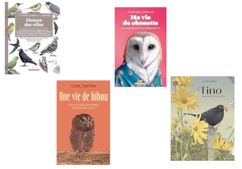 Des idées de livres francophones sur les oiseaux parus en 2024 à offrir pour les fêtes