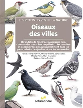 Oiseaux des villes